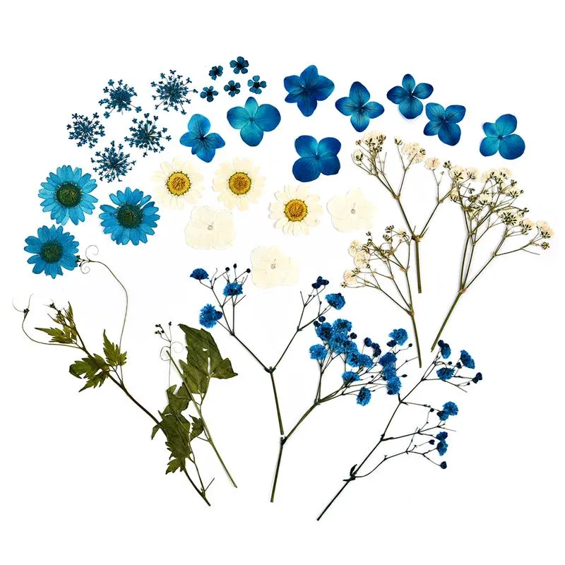 1 Pack Dried Flowers Resin Natural Flower Stickers Dry Beauty Decal For DIY Epoxy Resin Filling Jewelry Decoration