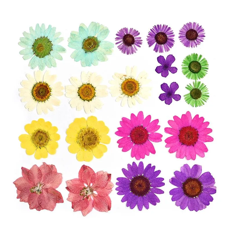 1 Pack Dried Flowers Resin Natural Flower Stickers Dry Beauty Decal For DIY Epoxy Resin Filling Jewelry Decoration