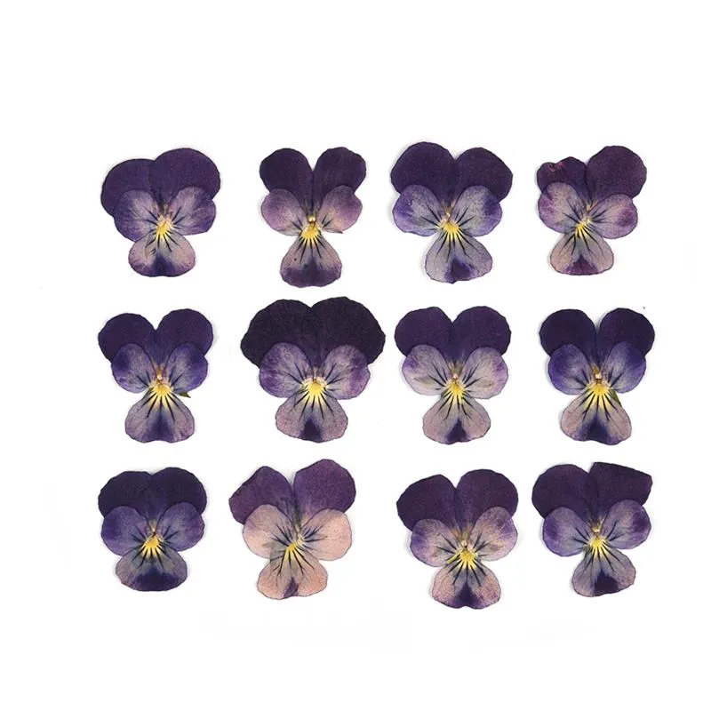 1 Pack Dried Flowers Resin Natural Flower Stickers Dry Beauty Decal For DIY Epoxy Resin Filling Jewelry Decoration