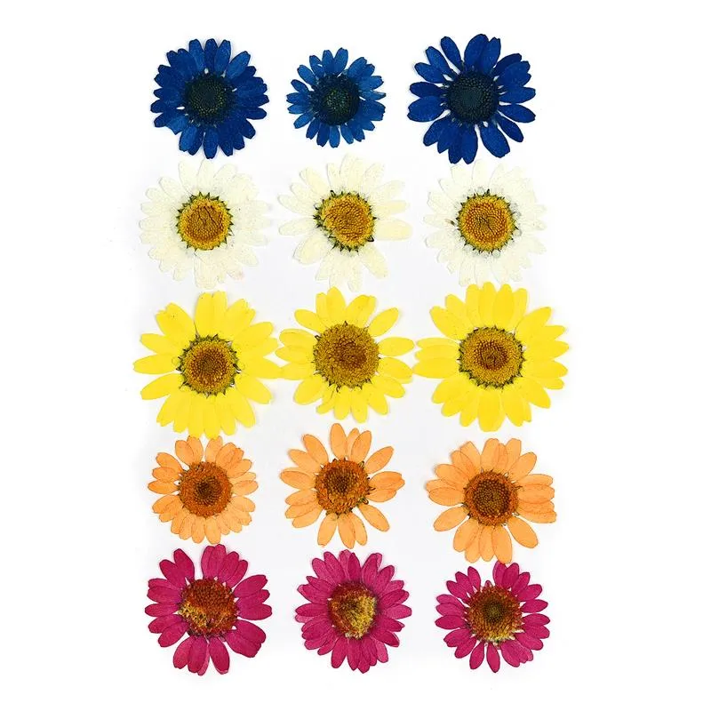 1 Pack Dried Flowers Resin Natural Flower Stickers Dry Beauty Decal For DIY Epoxy Resin Filling Jewelry Decoration