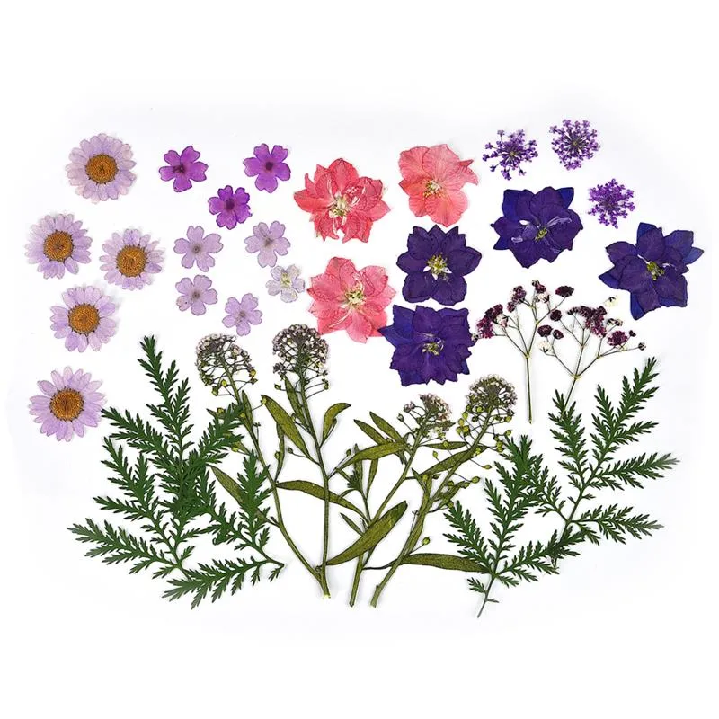 1 Pack Dried Flowers Resin Natural Flower Stickers Dry Beauty Decal For DIY Epoxy Resin Filling Jewelry Decoration