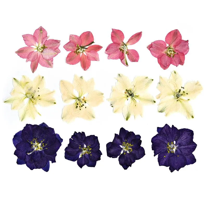 1 Pack Dried Flowers Resin Natural Flower Stickers Dry Beauty Decal For DIY Epoxy Resin Filling Jewelry Decoration