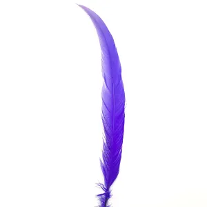 10" to 20" Silver Pheasant Tail Feather - Purple