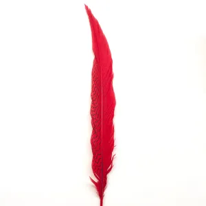 10" to 20" Silver Pheasant Tail Feather - Red