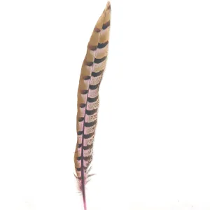 12" to 14" Reeves Pheasant Tail Feather - Pink ((SECONDS))