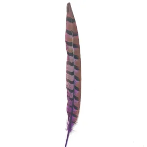 12" to 14" Reeves Pheasant Tail Feather - Purple ((SECONDS))