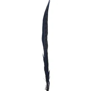 20" to 30" Lady Amherst Pheasant Side Tail Feather - Navy Blue ((SECONDS))