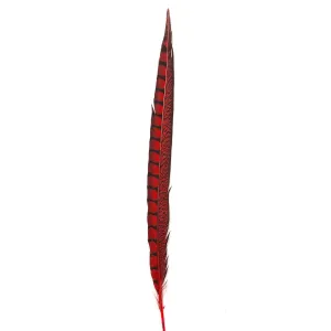 20" to 30" Lady Amherst Pheasant Side Tail Feather - Red ((SECONDS))