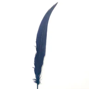 20" To 30" Silver Pheasant Tail Feather - Dusty Navy Blue ((SECONDS))