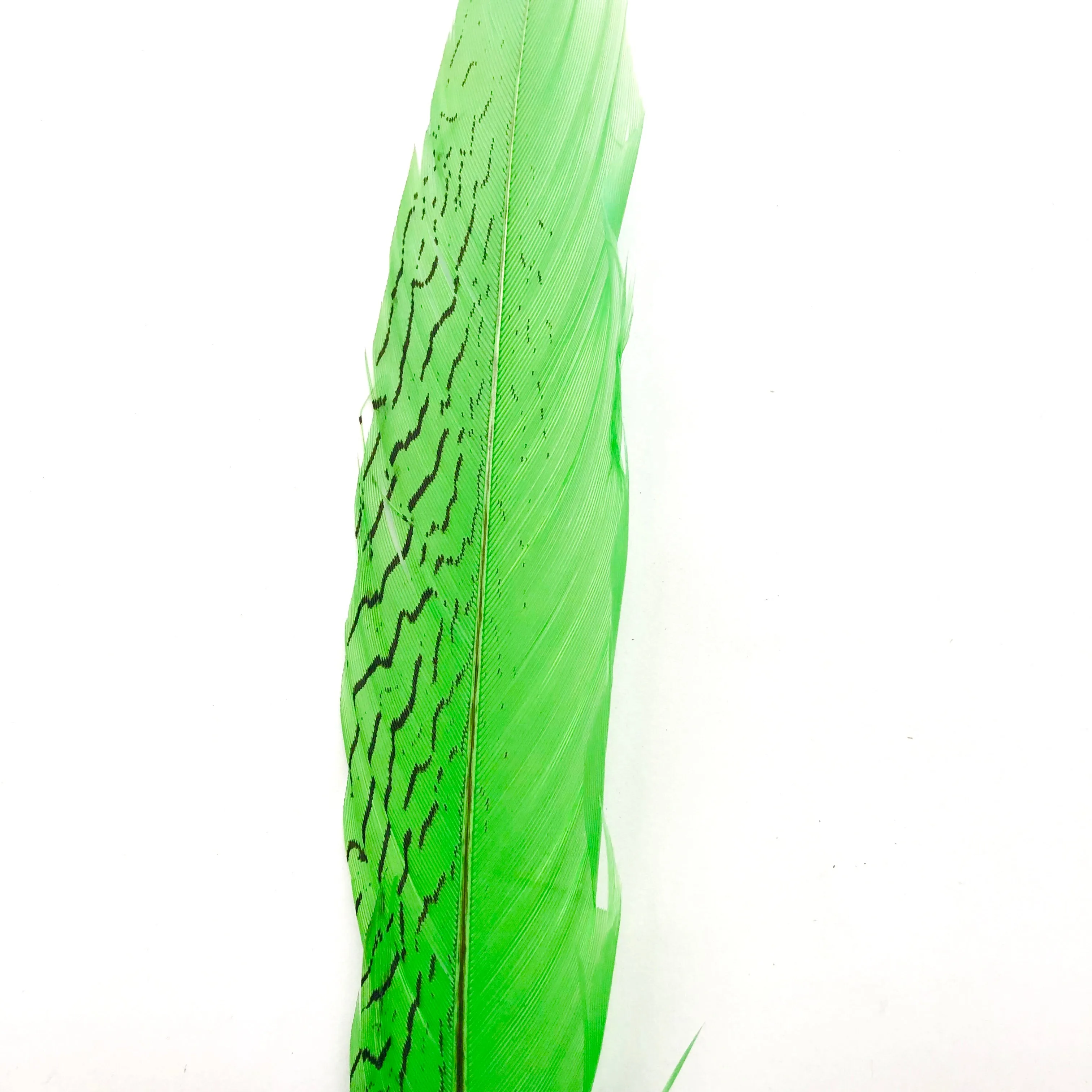 6" to 10" Silver Pheasant Tail Feather - Lime Green