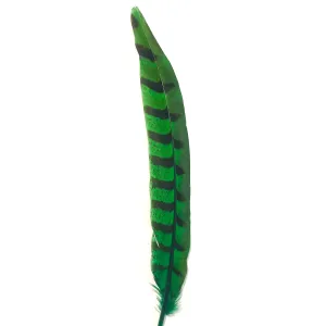 8" to 10" Reeves Pheasant Tail Feather - Green ((SECONDS))