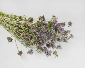 Dried Lemon Mint Flower Bouquet