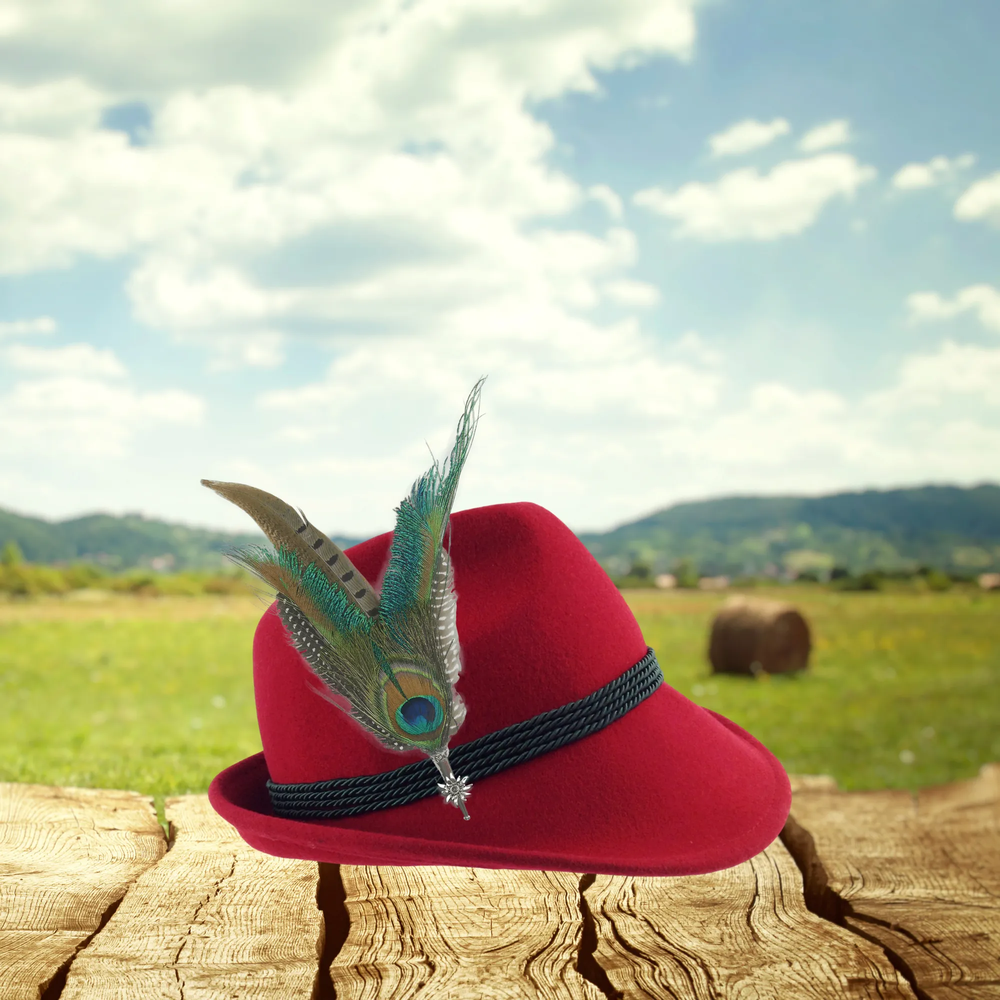 Peacock & Pheasant Hat Feathers with Edelweiss Medallion Hunter Hat Pin