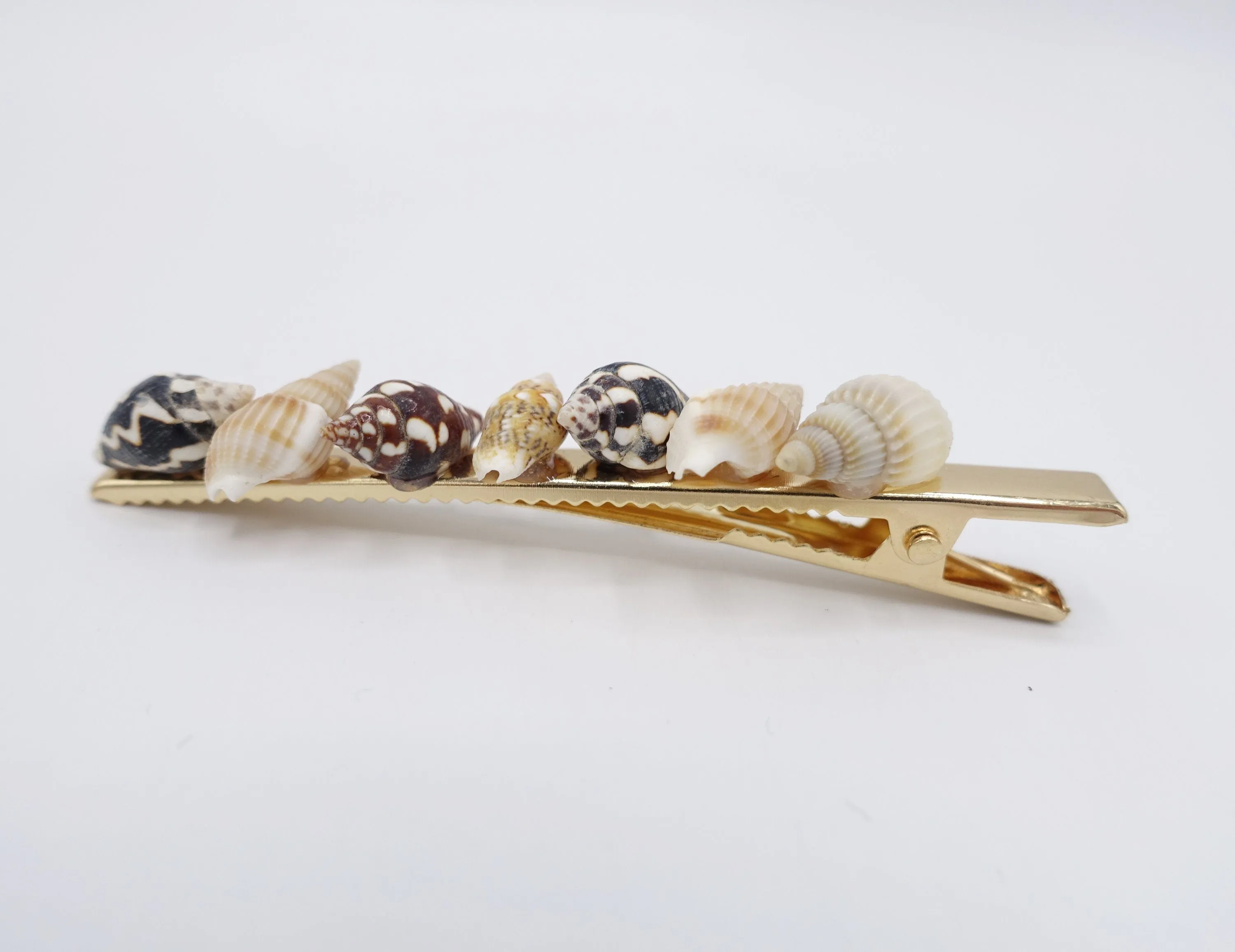 seashell hair clip